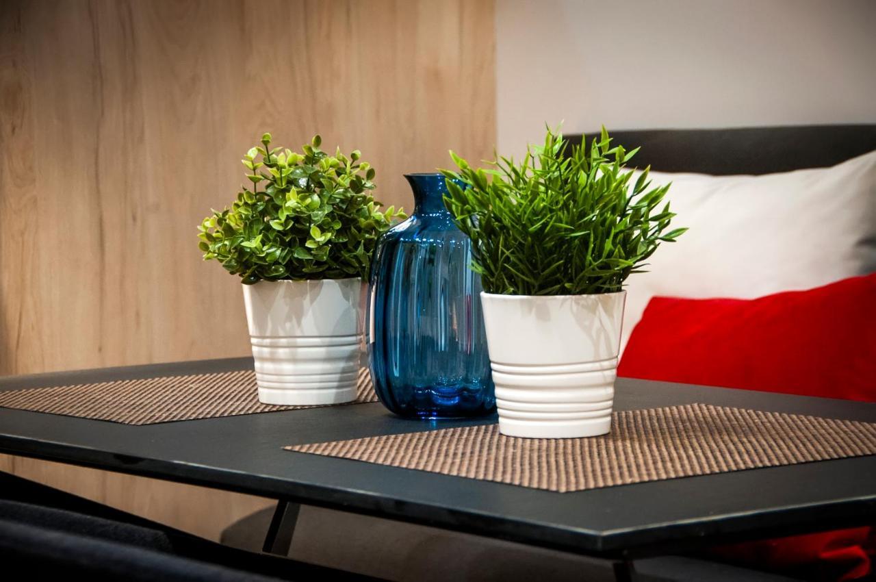 Apartments Casa Dekic Ровин Екстериор снимка